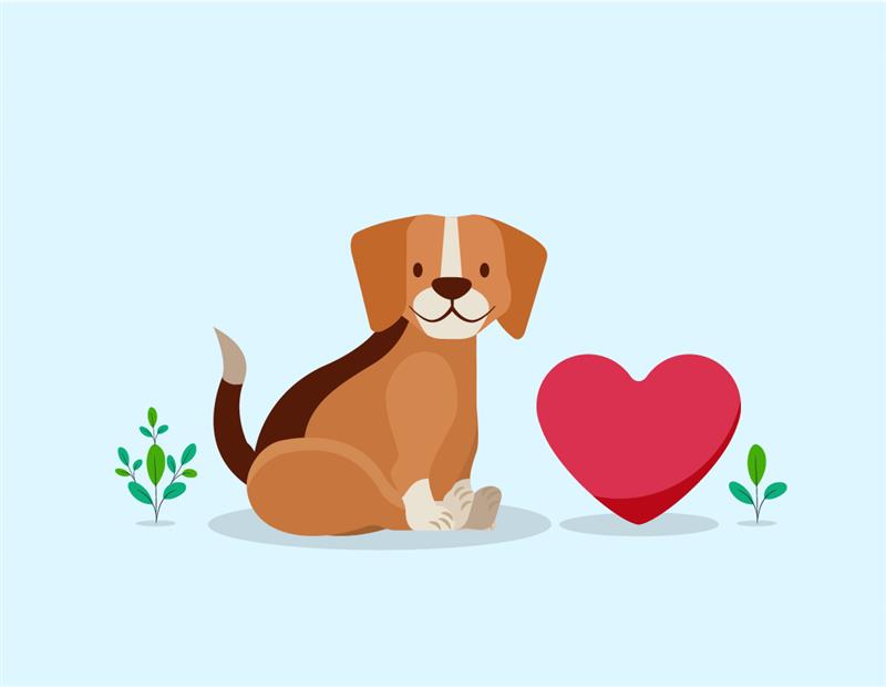 dog health and pet health